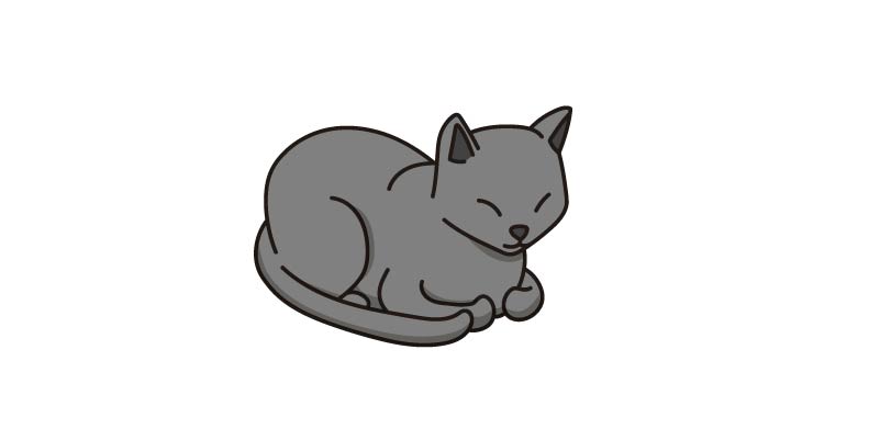 comportamiento gato se esconde